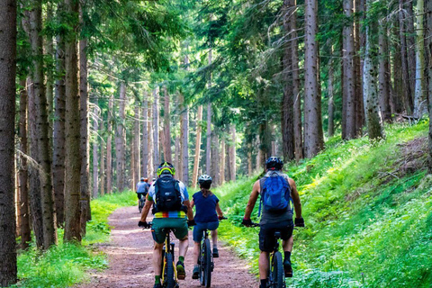 Zakopane: Guided E-MTB Enduro and XC Experience