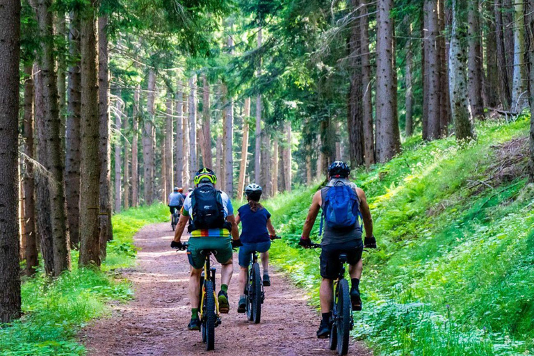 Zakopane: Guided E-MTB Enduro and XC Experience