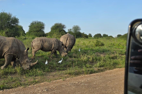 Nairobi National Park Game Drive Private half Day Tour