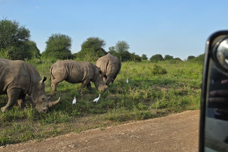 Nairobi National Park Game Drive Private half Day Tour