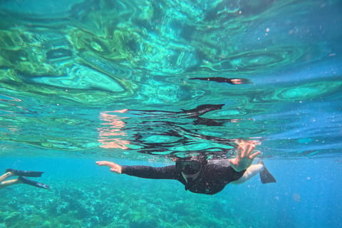 From Lovina :Menjangan Island Snorkeling Tour with transport