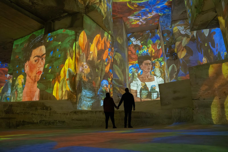Les Baux-de-Provence: Carrières des Lumières Picasso-Frida Kahlo ticket