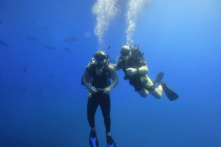 Larnaca: Private Zenobia Wreck with full gear Larnaca: Private Zenobia Wreck with fully gear