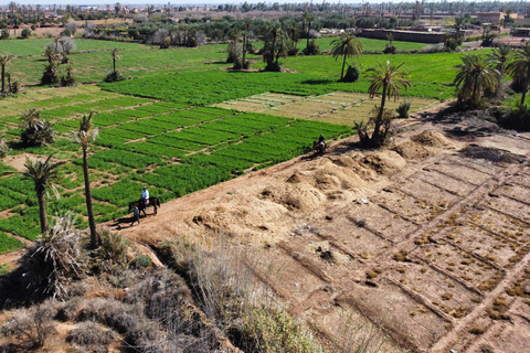 Horseback riding in Marrakesh – An authentic experience in the heart of nature Horseback ride in Marrakech – An authentic experience in the heart of nature