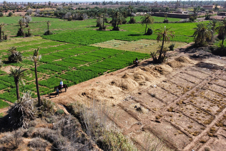 Horseback riding in Marrakesh – An authentic experience in the heart of nature Horseback ride in Marrakech – An authentic experience in the heart of nature