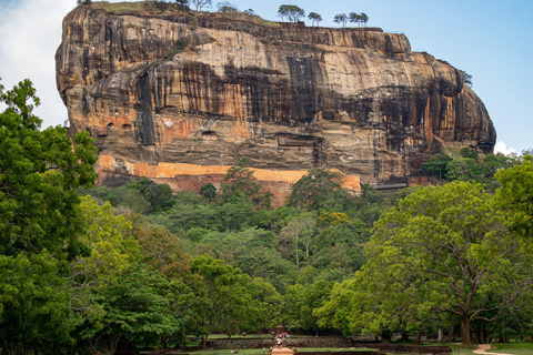 Depuis Colombo : Excursion d'une journée à Sigiriya et Dambulla et safari sauvage