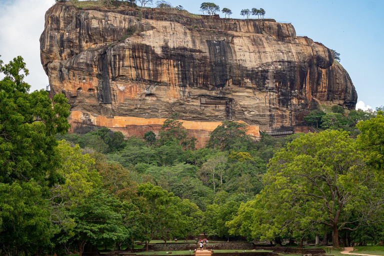 Depuis Colombo : Excursion d'une journée à Sigiriya et Dambulla et safari sauvage