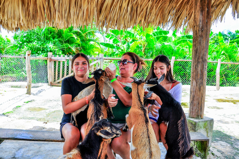 Punta Cana: Monkey Sanctuary, Farm & Cenote Swim Combo