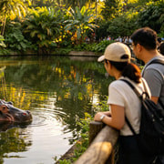 Singapore Zoo: The Wonders of the Tropical Rainforest Singapore Zoo: The Wonders of the Tropical Rainforest