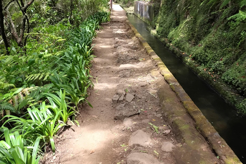 Madeira: PR17 Bica da Cana Encumeada Guided Hike with Pickup Madeira: Bica da Cana to Encumeada Guided Hike with Pickup