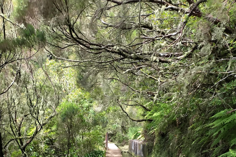Madeira: PR17 Bica da Cana Encumeada Guided Hike with Pickup Madeira: Bica da Cana to Encumeada Guided Hike with Pickup