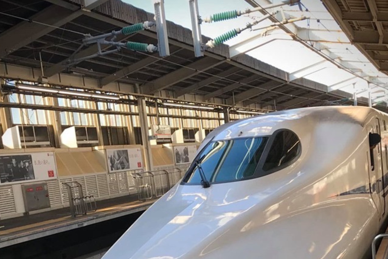 Kyoto Day Trip from Tokyo by Bullet Train Private Tour