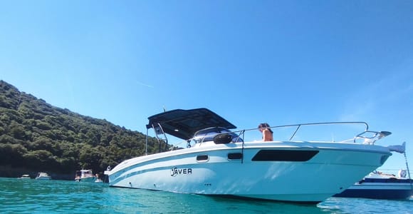 La Spezia: Boat Tour of the Gulf’s Coves
