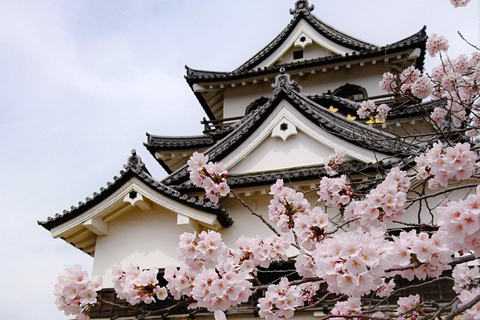 Depuis Nagoya : Châteaux et canaux à Hikone et Omi HachimanDépart de la gare de Nagoya