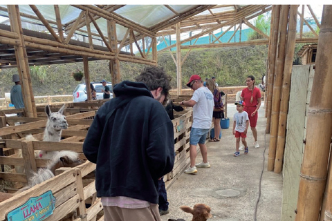 Medellín: Guatapé and Medellín City Door-to-Door Transfer Door-to-door transfer from Medellín to Guatapé.