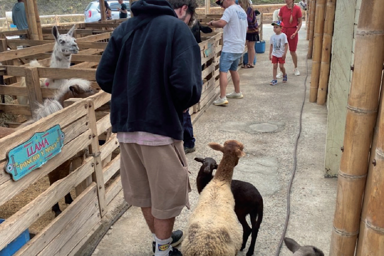 Medellín: Guatapé and Medellín City Door-to-Door Transfer Door-to-door transfer from Medellín to Guatapé.