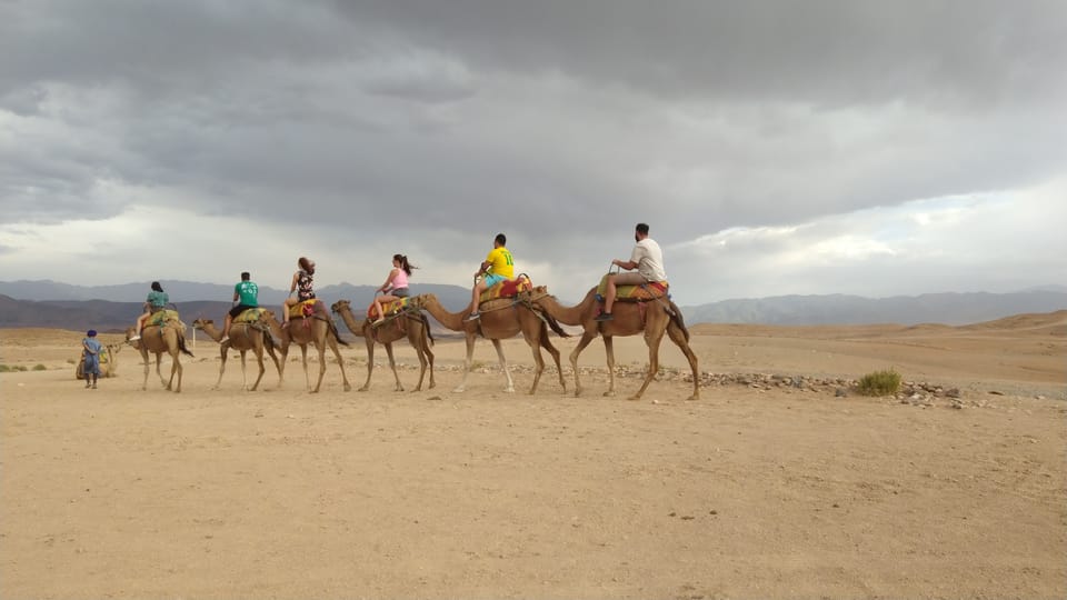 Anima garden half day trip with camel ride | GetYourGuide