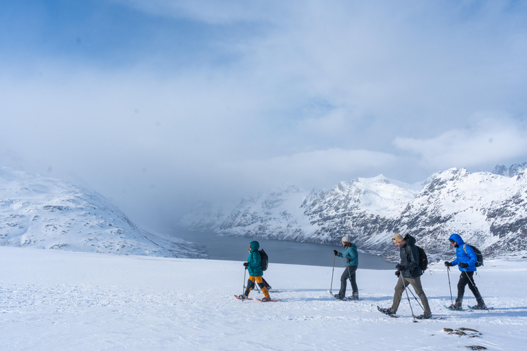 From Tromsø: Snowshoe Hike with Local Guides