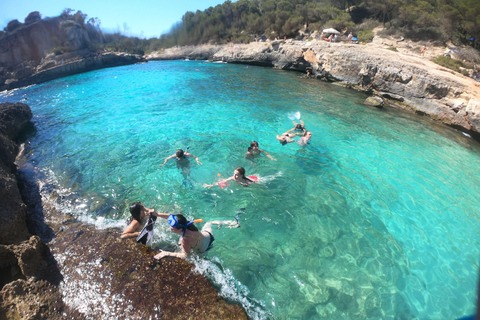 Majorque : Excursion d'une journée à Des Moro, Salmunia et LlombardsDepuis le nord : Mallorca tour Cala Des Moro, Salmunia y Llombard