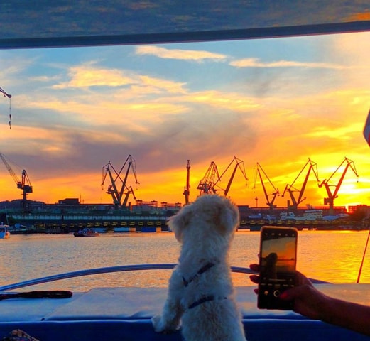 eCityBoat | Magical Sunset EcoCruise with Prosecco