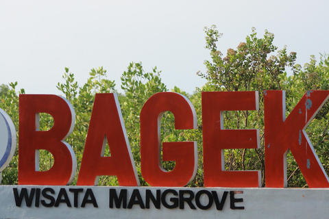 Bagek Kembar: Mangrove & Stingless Beekeeping Experience