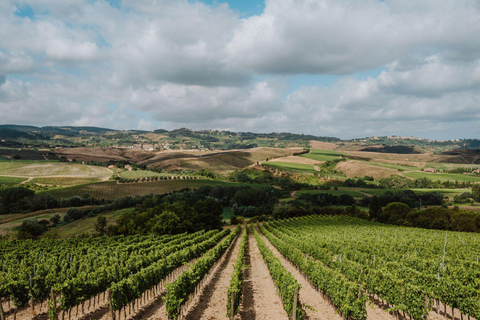 Abbey Tour, Wine Tasting and Light Lunch near Pisa English