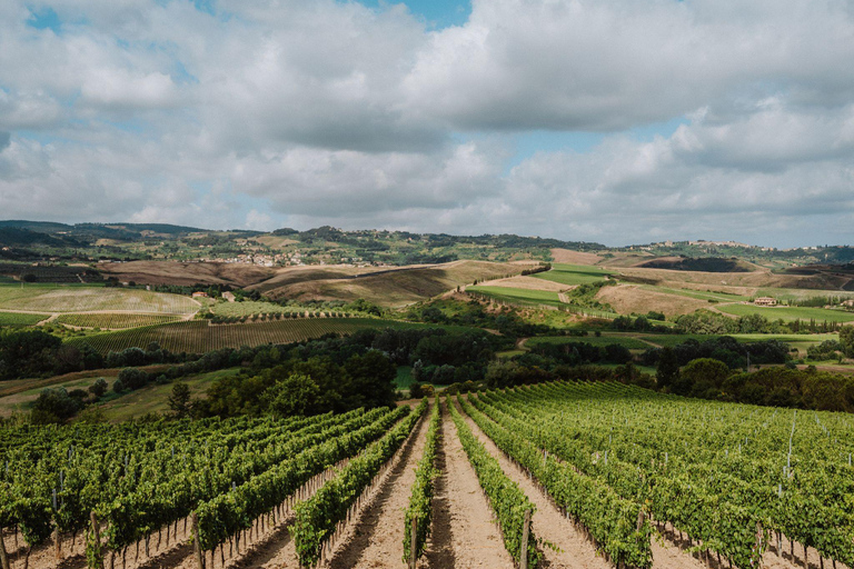 Abbey Tour, Wine Tasting and Light Lunch near Pisa English