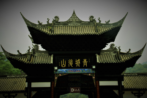 熊猫基地/乐山大佛/多景点之旅乐山大佛风景区和熊猫基地一日旅行