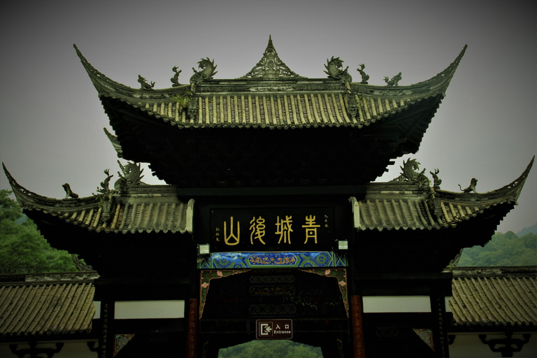 熊猫基地/乐山大佛/多景点之旅乐山大佛风景区和熊猫基地一日旅行