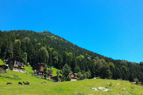 Ayder Plateau & Rize Day Tour: The Magic of the Black Sea, Fırtına Stream Day Trip to Ayder Plateau & Rize: The Magic of the Black Sea, Fırtına Stream