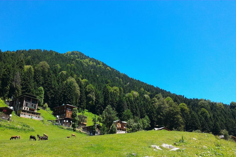 Ayder Plateau & Rize Day Tour: The Magic of the Black Sea, Fırtına Stream Day Trip to Ayder Plateau & Rize: The Magic of the Black Sea, Fırtına Stream
