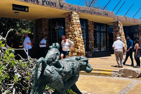 Robben Island, Penguins & Cape of Good Hope Adventure