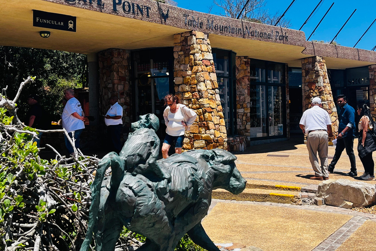 Robben Island, Penguins & Cape of Good Hope Adventure