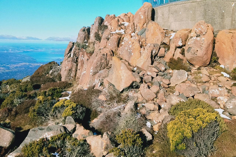 Tour de l&#039;après-midi du Mont Wellington