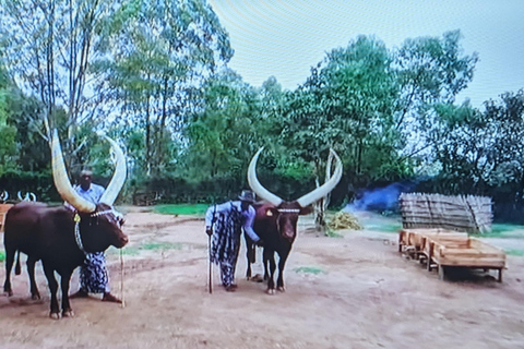 Visite du Palais du Roi et du Musée Ethnographique