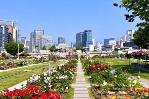 Osaka: Old Town Highlights and Castle Park Walking Tour