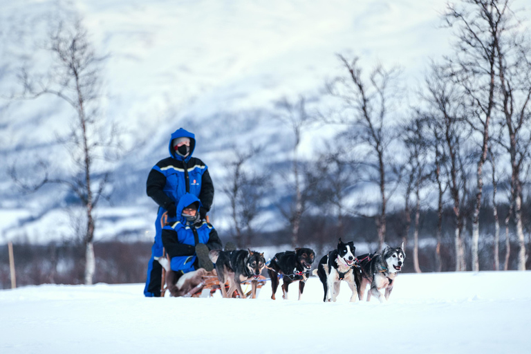 From Tromsø: Dog Sledding Experience with Transfer