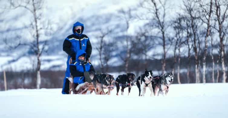 Traîneau à chiens avec transfert depuis Tromsø