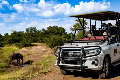 Chutes Victoria : Safari dans le parc national du Zambèze