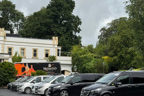 Belfast: Private Custom Tour with Driver and Guide