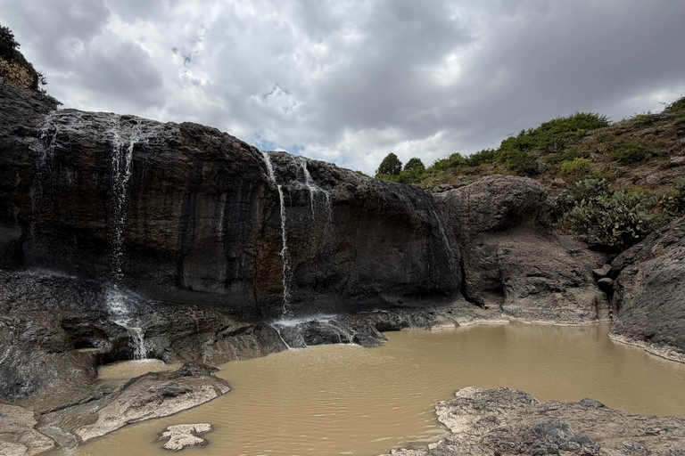 Addis Ababa: Debre Libanos Monastery & Bridge Tour