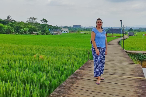 Jakarta Bogor Botanischer Garten, Reisterrasse und Wasserfall