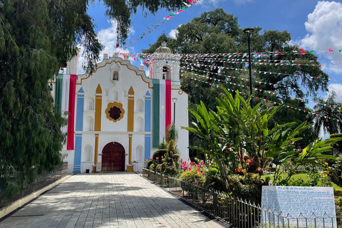 أواكساكا: جولة بالدراجة إلى شجرة التول