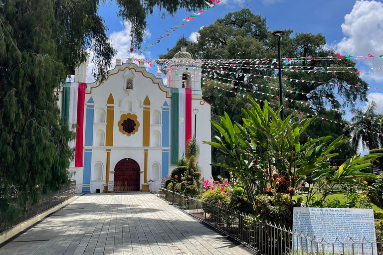 أواكساكا: جولة بالدراجة إلى شجرة التول