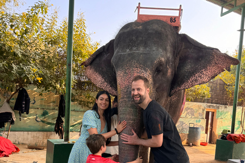 Jaipur: Tour panoramico privato di un giorno intero in Tuk-Tuk