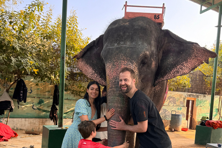 Jaipur: Tour panoramico privato di un giorno intero in Tuk-Tuk