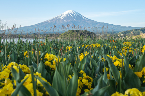 Tokyo: Mount Fuji Private Customizable Tour In Luxury Van