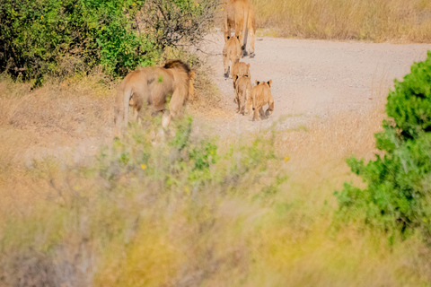 Samburu National Reserve 3-Day Safari from Nairobi