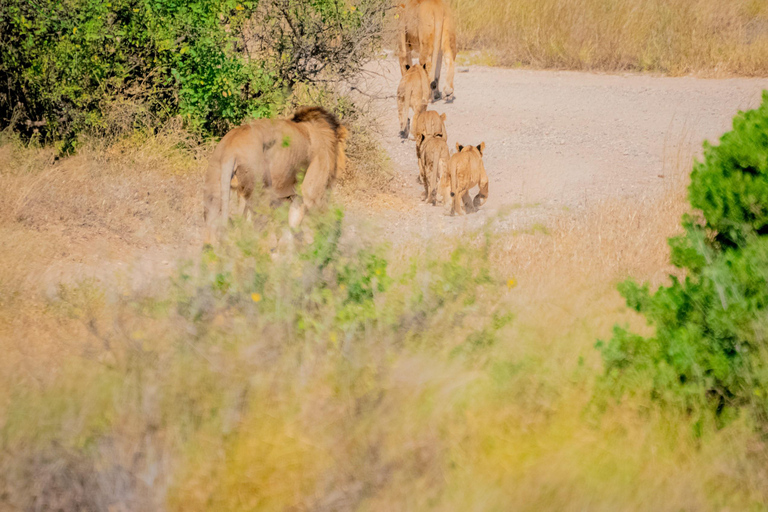 Samburu National Reserve 3-Day Safari from Nairobi