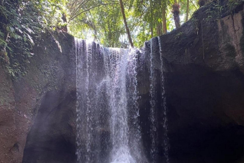 Ubud: 4 Waterfalls full day Tour ticket included